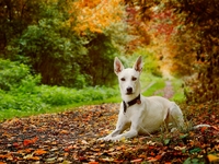 Гороскоп на 23 октября 2021 года для всех знаков зодиака