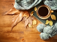 Гороскоп на 25 октября 2021 года для всех знаков зодиака