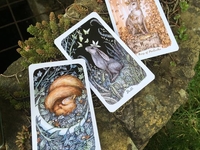 Таро прогноз на 2 – 4 ноября: что говорят карты