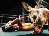 Ценность мастерства: мифы и реальность