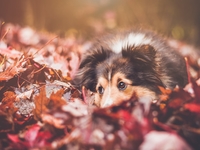 Гороскоп на 5 ноября 2021 года для всех знаков зодиака