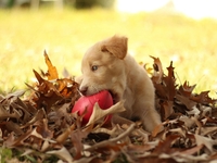 Гороскоп на 6 ноября 2021 года для всех знаков зодиака