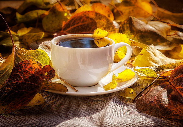 Гороскоп на 7 ноября 2021 года для всех знаков зодиака