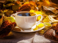 Гороскоп на 7 ноября 2021 года для всех знаков зодиака