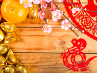 Гороскоп на 2022 год для Змеи