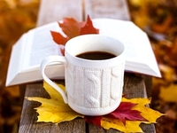 Гороскоп на 14 ноября 2021 года для всех знаков зодиака