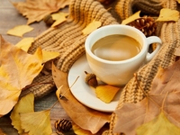 Гороскоп на 15 ноября 2021 года для всех знаков зодиака