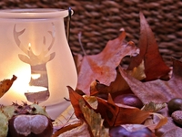 Гороскоп на 17 ноября 2021 года для всех знаков зодиака