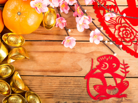 Гороскоп на 2022 год для Обезьян