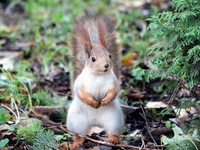 Гороскоп на 18 ноября 2021 года для всех знаков зодиака