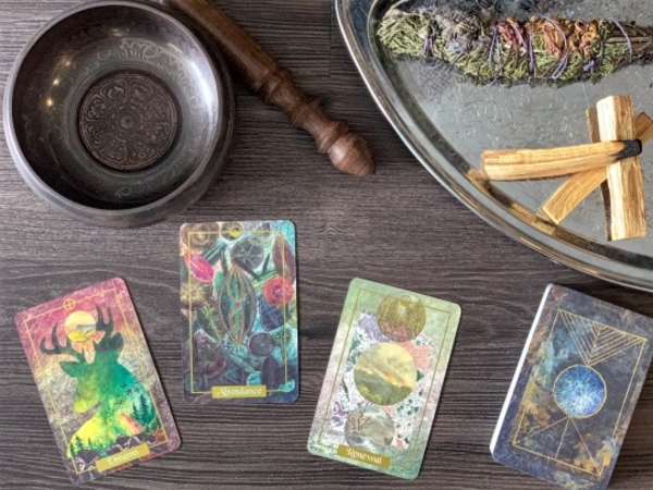 Фото: tumblr.com/pappasquirrelsnest