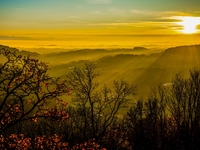 Гороскоп на 23 ноября 2021 года для всех знаков зодиака