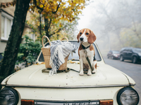 Гороскоп на 29 ноября для всех знаков зодиака