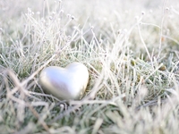 Гороскоп на 30 ноября 2021 года для всех знаков зодиака