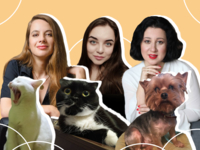 Усы, лапы и хвост — мои документы: редакторы Ivona о домашних любимцах