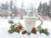 Гороскоп на 1 декабря 2021 года для всех знаков зодиака