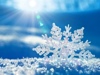 Гороскоп на 6 декабря 2021 года для всех знаков зодиака