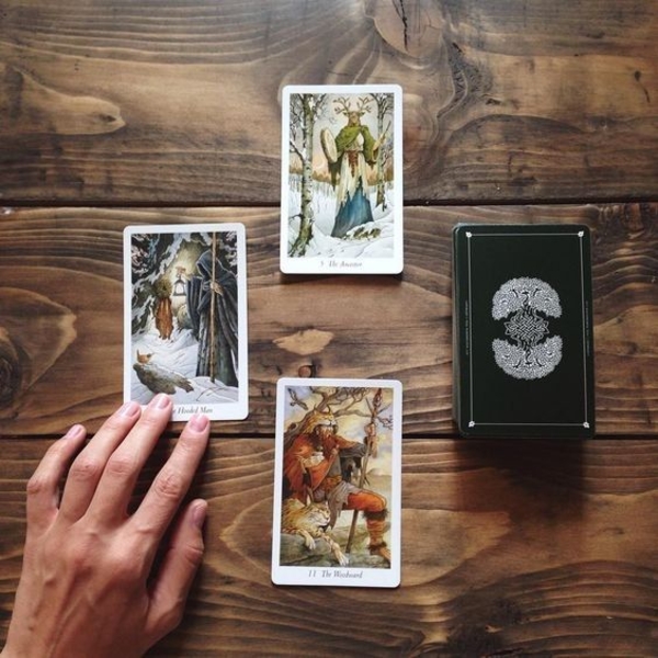 Прогноз на 9-12 декабря: на что советуют обратить внимание Таро Дикого Леса