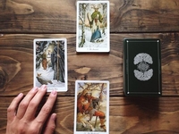 Прогноз на 9-12 декабря: на что советуют обратить внимание Таро Дикого Леса