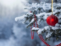 Гороскоп на 13 декабря 2021 года для всех знаков зодиака